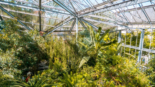 Three Climate Greenhouse in the Hortus Botanicus, Amsterdam