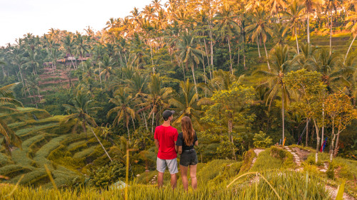 Tegallalang rice terraces in Ubud, Bali, Indonesia