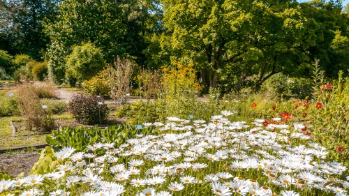 Jardin Botanique in Bordeaux, France