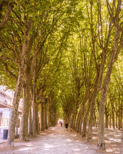 Place des Quinconces in Bordeaux, France