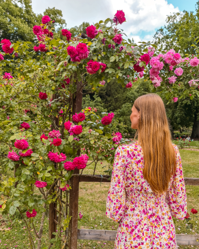 Rose Garden in Parc de la Pépinière, Nancy, France