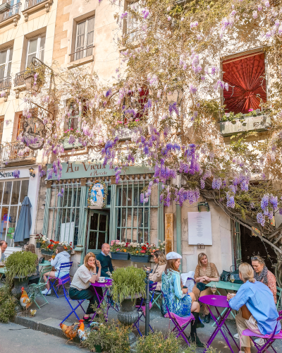 Wisteria Photo Spot at Instagrammable Café Au Vieux Paris, France