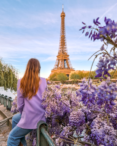 Wisteria and the Eiffel Tower Photo Spot, Paris