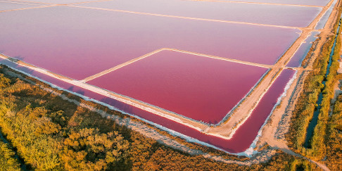 Pink Salt Lakes in Salin de Giraud, France