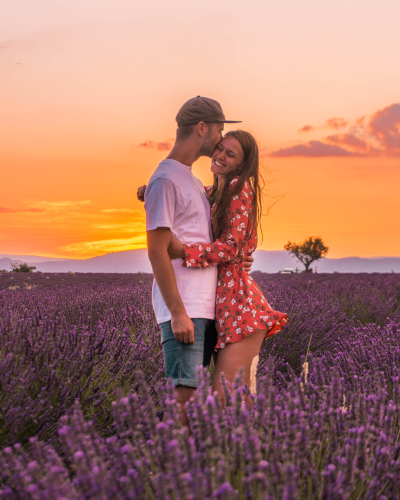 Lavender Field at Lavandes Angevin in Provence, France