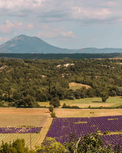 Viewpoint in Puimoisson in Provence, France