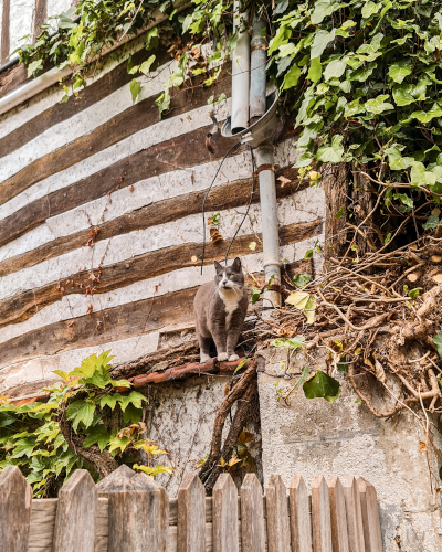 La Bouille in France