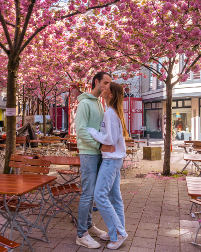 Cherry blossoms at Gustav-Mahler-Platz in Hamburg, Germany