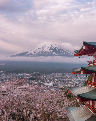 Cherry Blossoms near Mt. Fuji, Japan