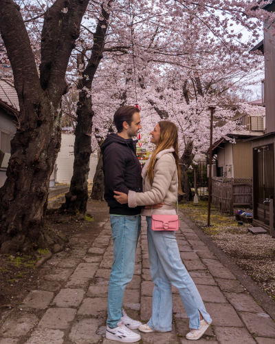 Cherry Blossoms near Mt. Fuji, Japan