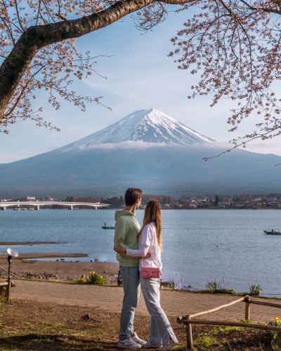 Cherry Blossoms near Mt. Fuji, Japan