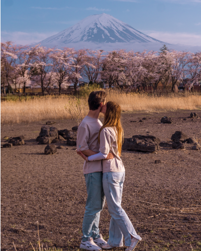 Cherry Blossoms near Mt. Fuji, Japan