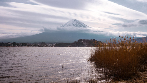 Mt. Fuji from Oishi Park in Kawaguchiko, Japan