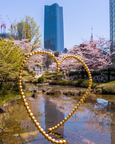 Cherry Blossoms at Mohri Garden in Roppongi, Tokyo