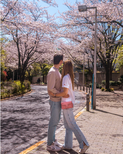 Cherry Blossoms at Sakurazaka Street in Roppongi, Tokyo