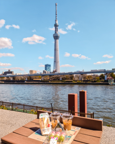 Picnic at Sumida Park in Tokyo