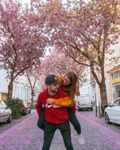 Cherry Blossoms in Bonn, Germany