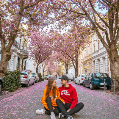 Cherry Blossoms in Bonn, Germany