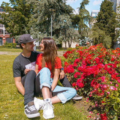 Flowers in Lille, France