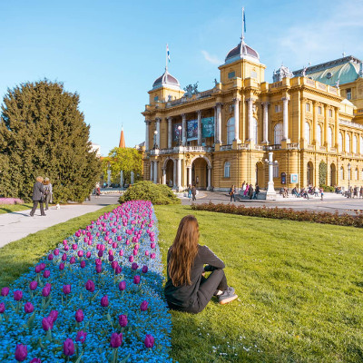 Flowers in Zagreb, Croatia