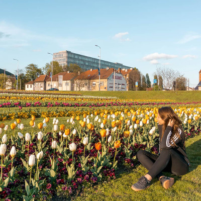 Flowers in Zagreb, Croatia