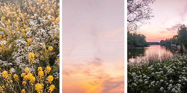 Spring Photo Guide
