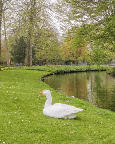 Our Spring Photo Guide | KIPAMOJO