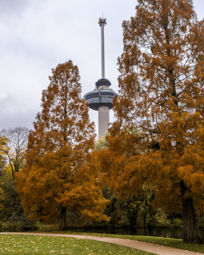 Instagrammable Place in Het Park in Rotterdam, the Netherlands