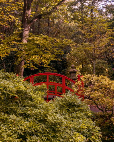 Japanese Garden in The Hague, the Netherlands