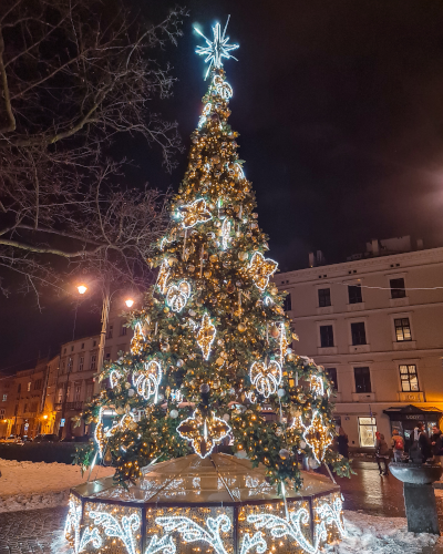 Christmas tree on Plac Wszystkich Świętych in Kraków, Poland