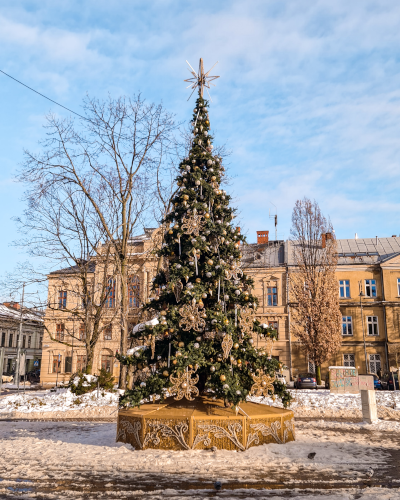 Christmas tree at the Saint Joseph’s Church in Kraków, Poland