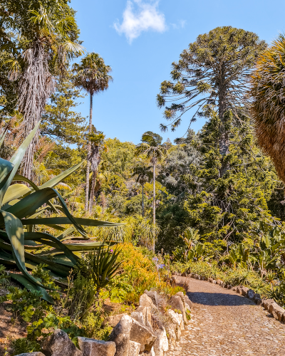 Gardens in Monserrate Palace in Sintra, Portugal