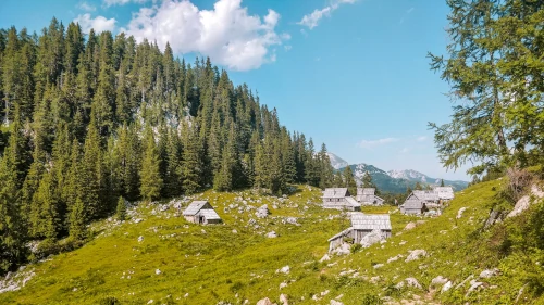 Planina Viševnik in Triglav National Park, Slovenia