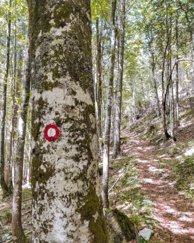 Trail markers in Triglav National Park, Slovenia