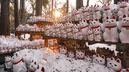 The Gotokuji Temple in Tokyo, Japan