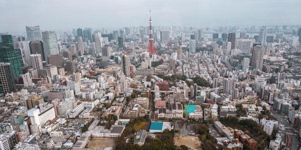 View from the Mori Art Museum in Tokyo, Japan
